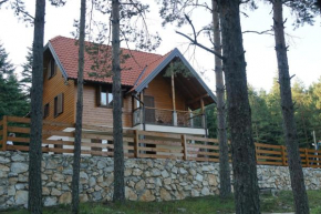 Tarsko srce N